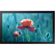 Samsung QB13R-T, 13 Inch FHD Touchscreen Monitor